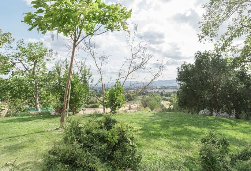 B&b Cantico Delle Creature