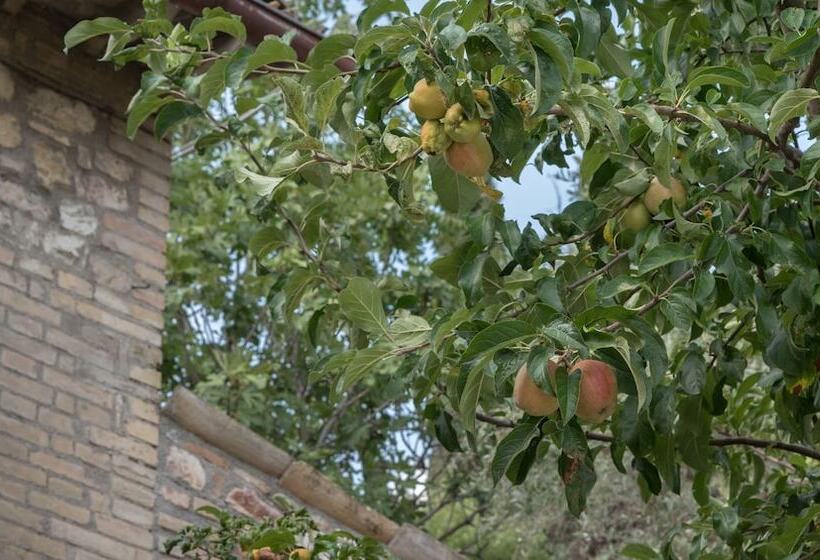 B&b Cantico Delle Creature