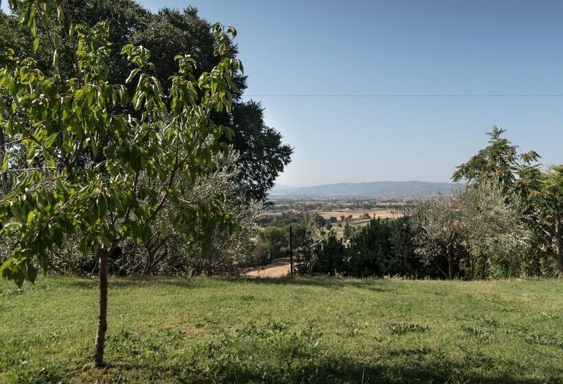 B&b Cantico Delle Creature