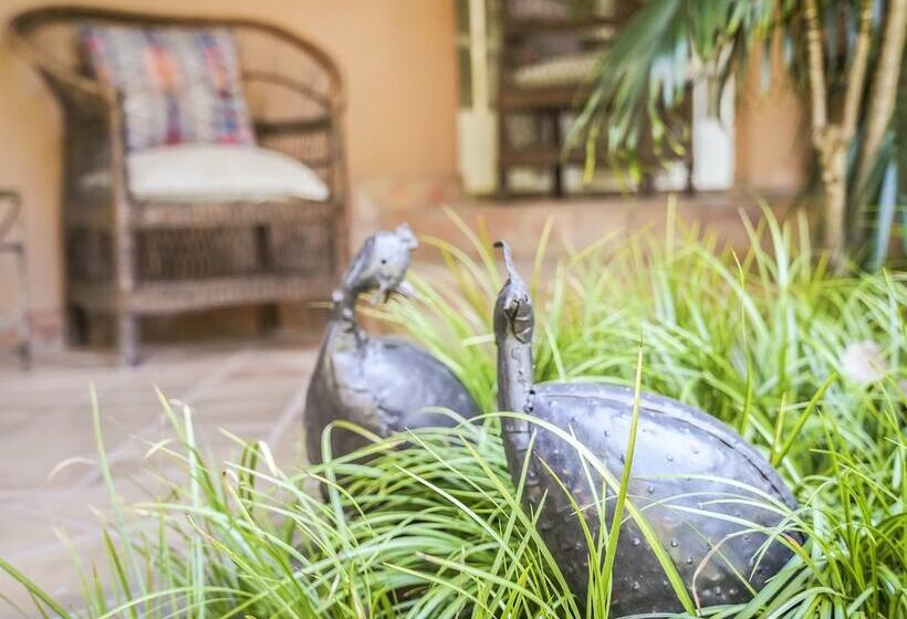 تختخواب و صبحانه Casa Kadiki