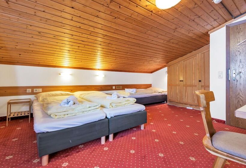 هتل Pinzgauerhof Ski & Bike Inclusive Evening Dinner