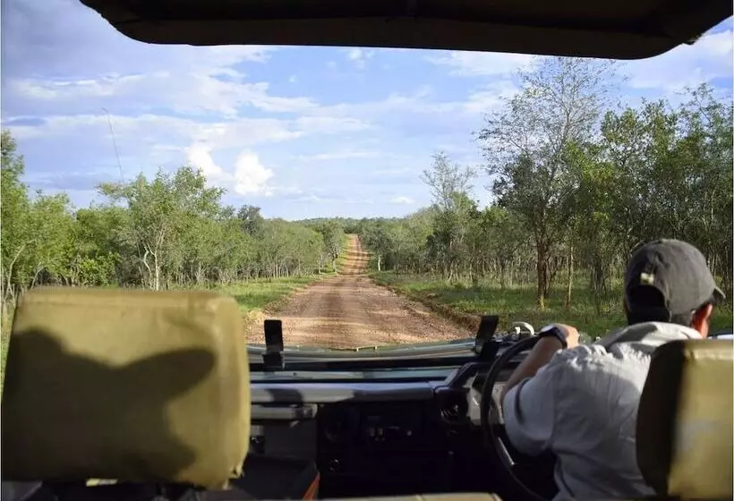هتل Raptor Retreat Game Lodge