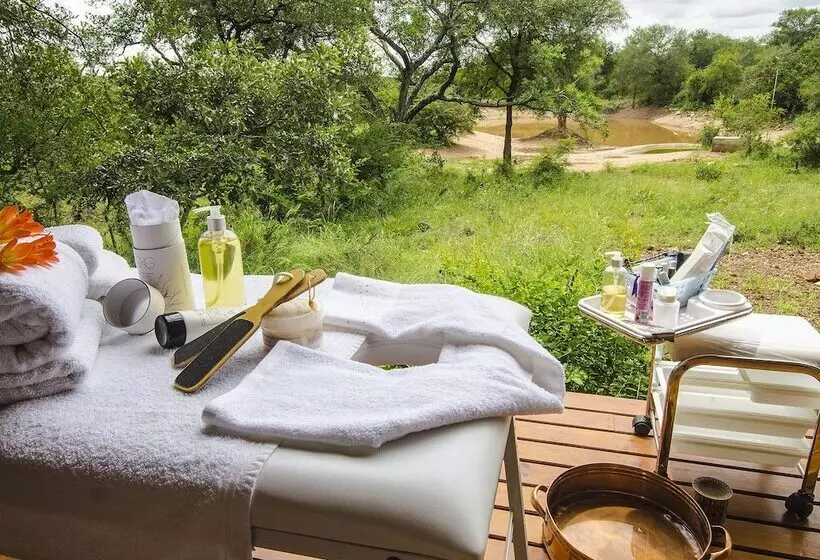 هتل Raptor Retreat Game Lodge