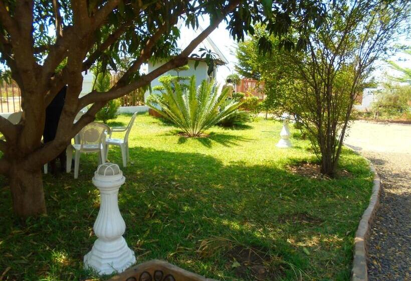 هتل White Rose Lodge