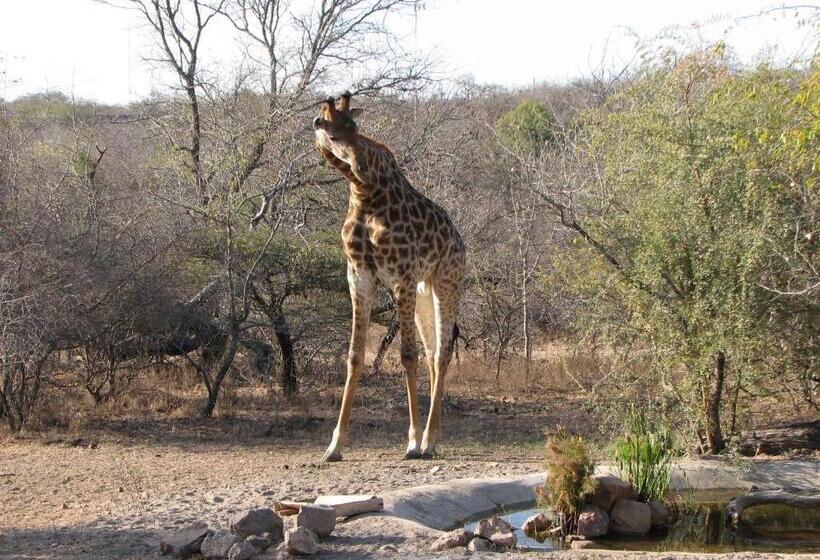 ペンション Turaco Lodge   No Loadshedding