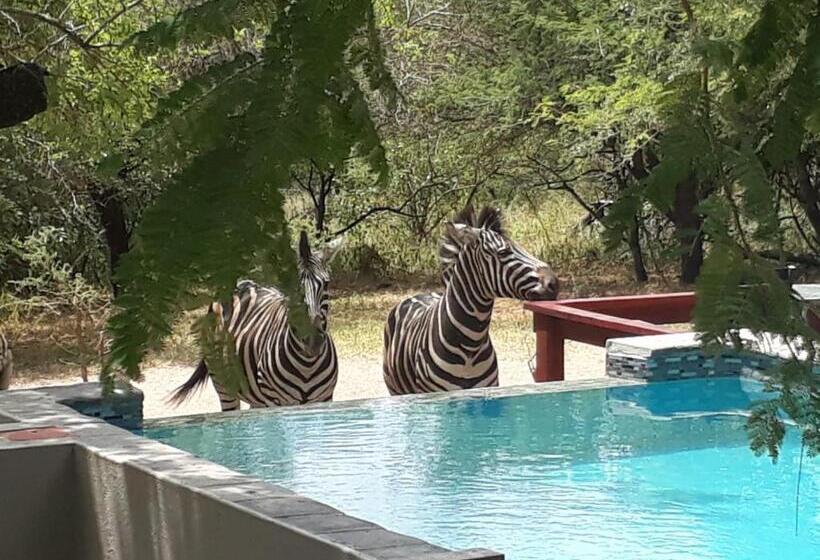 ペンション Turaco Lodge   No Loadshedding