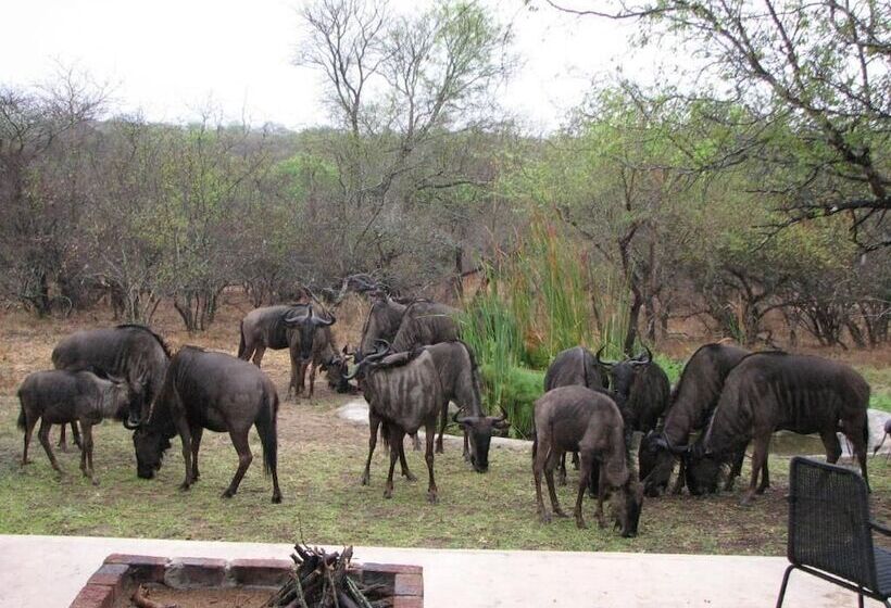 ペンション Turaco Lodge   No Loadshedding