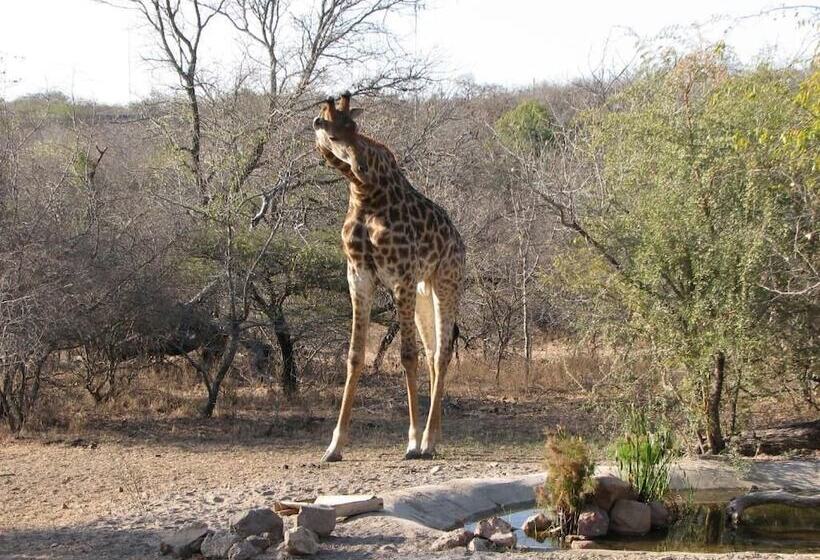 ペンション Turaco Lodge   No Loadshedding