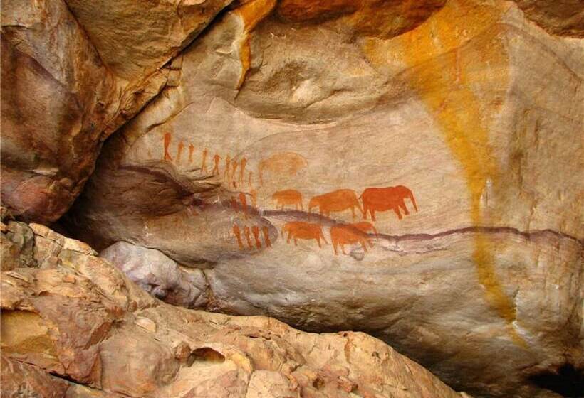 بنسيون Wittedrift Manor House