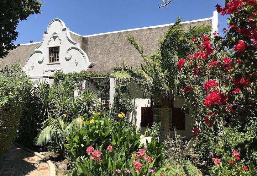 بنسيون Wittedrift Manor House