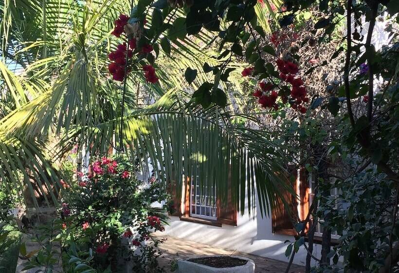 بنسيون Wittedrift Manor House