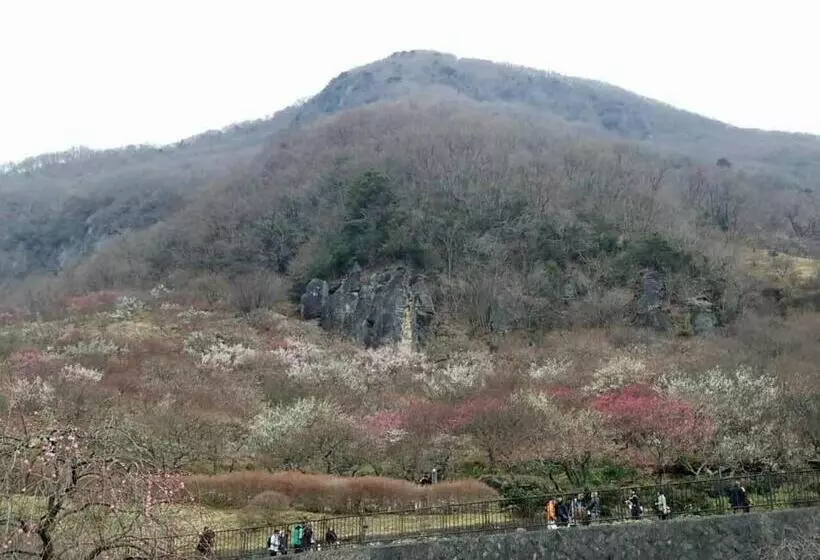 Yugawara Onsen Ryokan Uohan