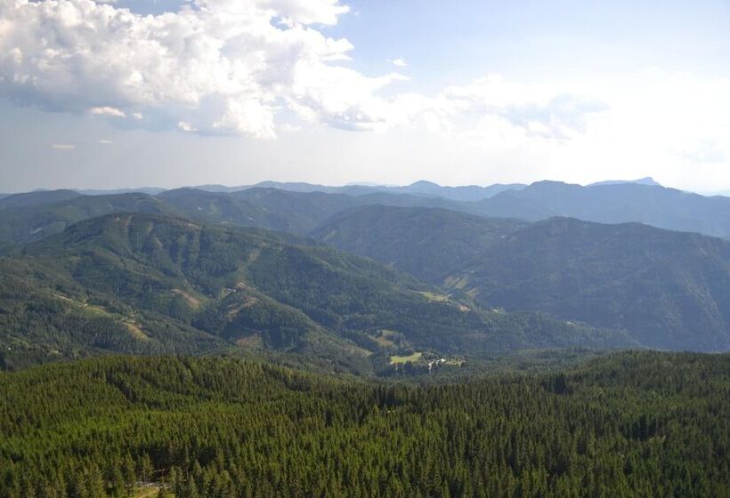 酒店 Gasthof Oberer Gesslbauer