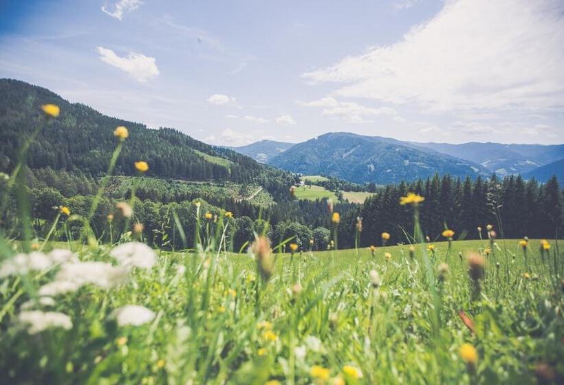 酒店 Gasthof Oberer Gesslbauer