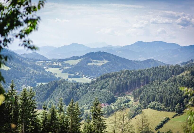 酒店 Gasthof Oberer Gesslbauer