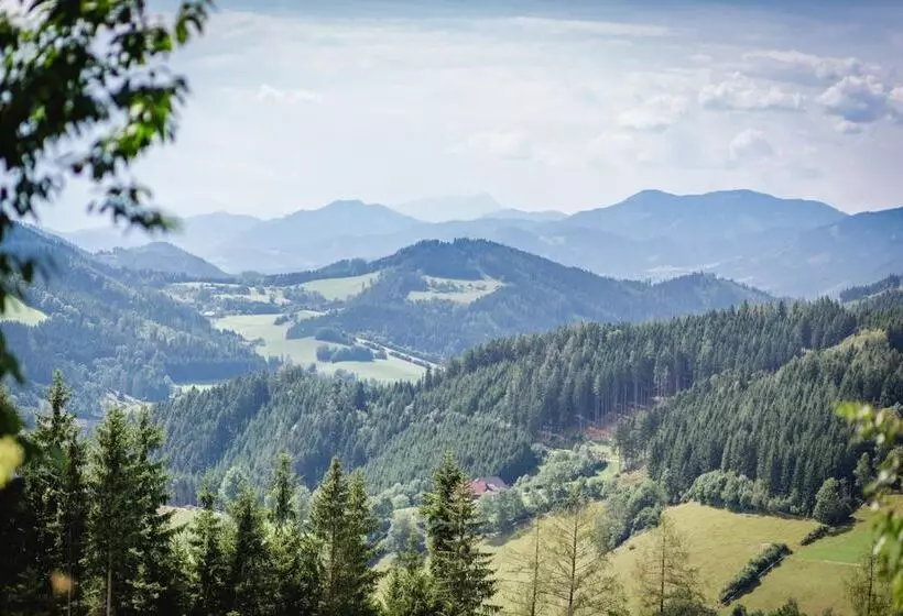 Hotelli Gasthof Oberer Gesslbauer