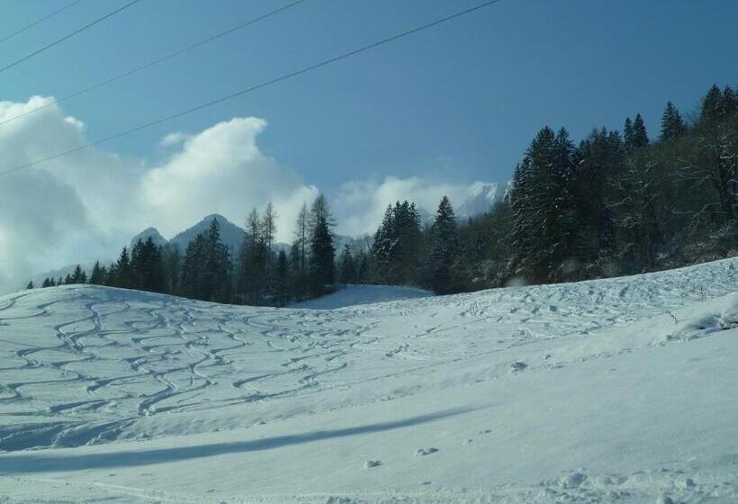 ホテル Pension Schöne Aussicht