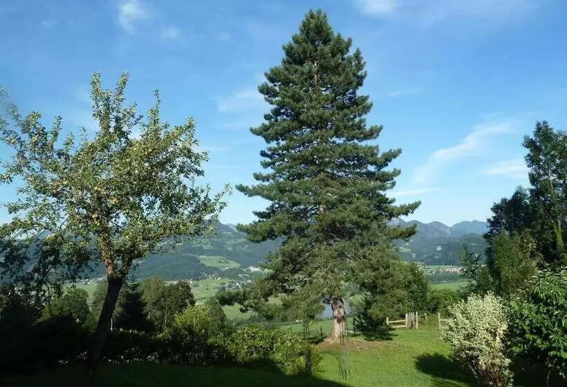Hotelli Pension Schöne Aussicht