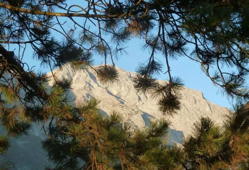 Hotelli Pension Schöne Aussicht