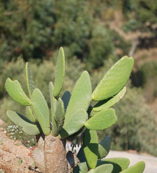 فندق ريفى Monte Da Vilarinha