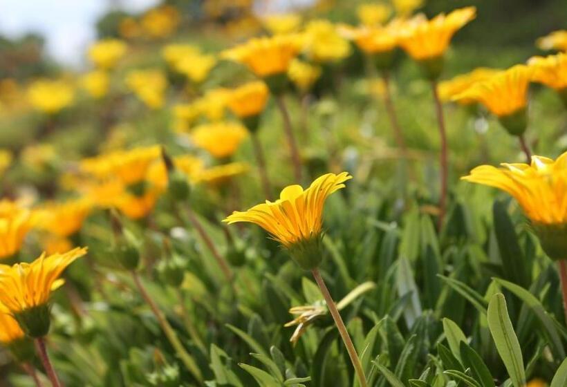 فندق ريفى Monte Da Vilarinha