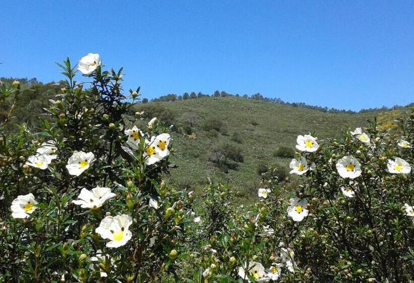 فندق ريفى Monte Da Vilarinha