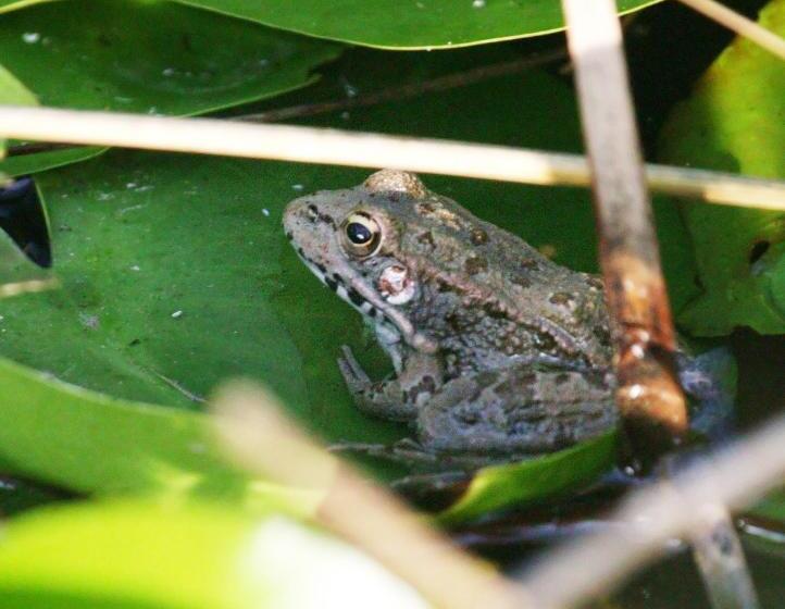 فندق ريفى Monte Da Vilarinha