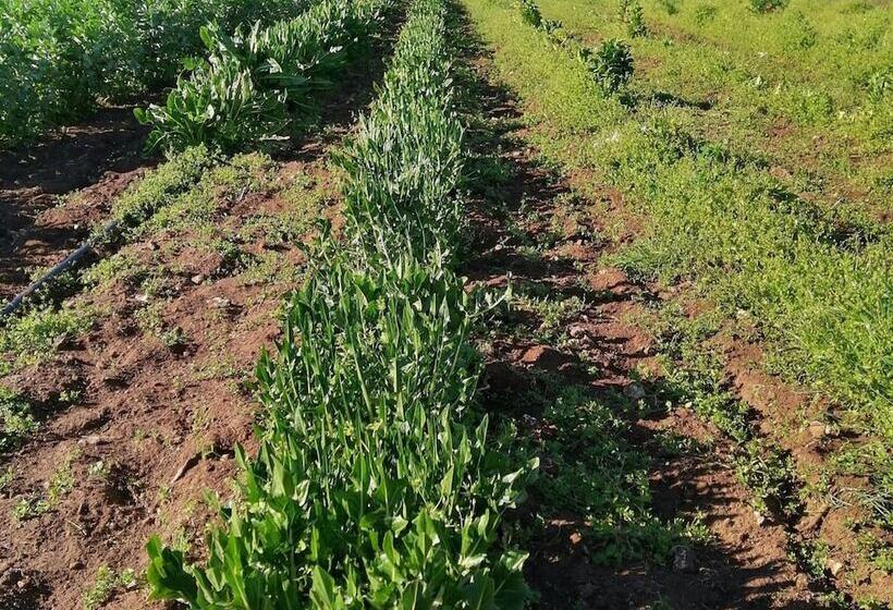 Masseria Stali, The Originals Relais