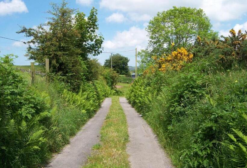 Schronisko Valley Lodge Room Only Guest House