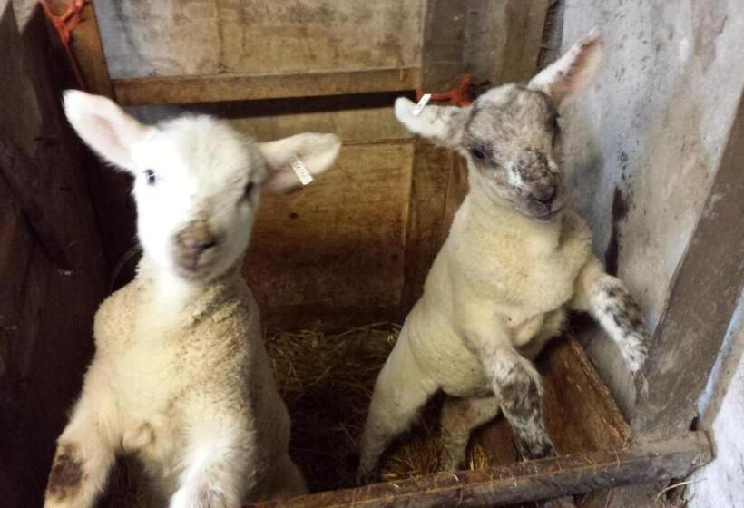 Schronisko Valley Lodge Room Only Guest House