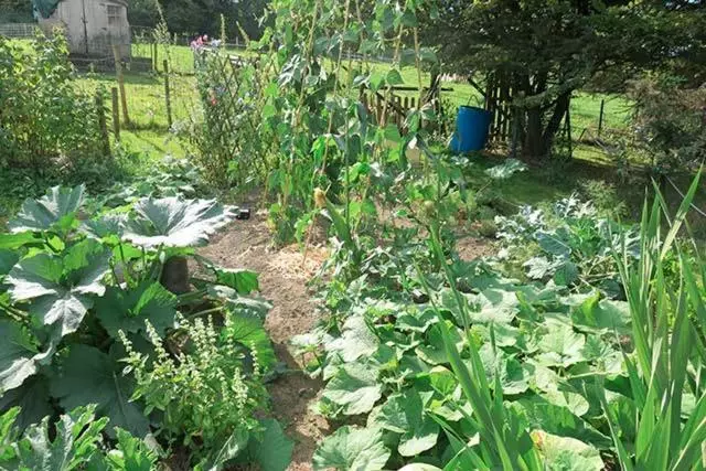 B&b Ferme Du Petit Breuil