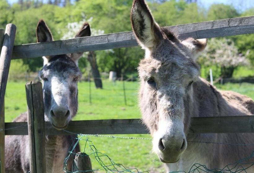 B&b Ferme Du Petit Breuil