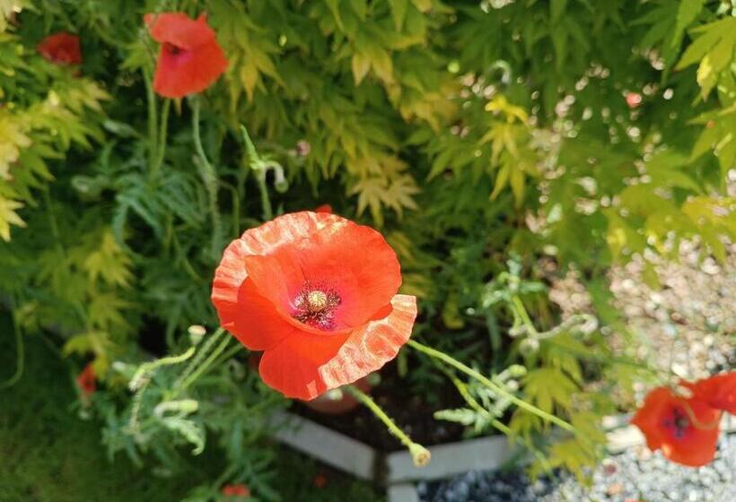 B&b Ferme Du Petit Breuil