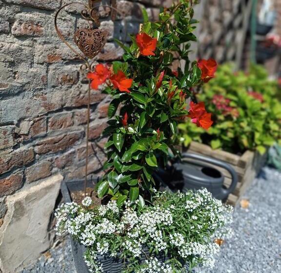 B&b Ferme Du Petit Breuil