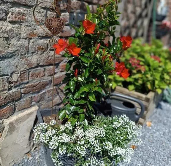 B&b Ferme Du Petit Breuil