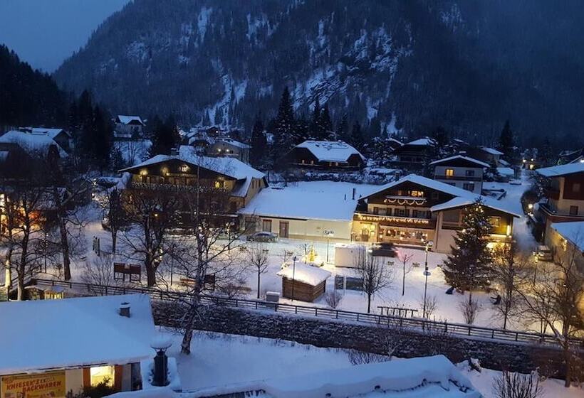 ホテル Kärntnerhof