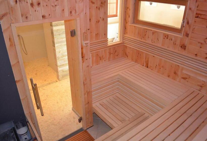 בית מלון כפרי Starjet