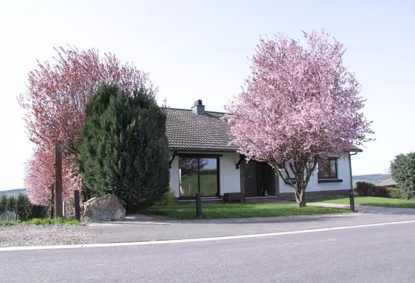 B&b Sol Magnus