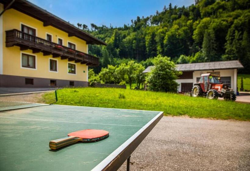 مبيت وإفطار Hinterkellaubauer