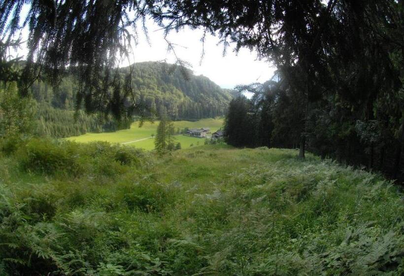 مبيت وإفطار Hinterkellaubauer