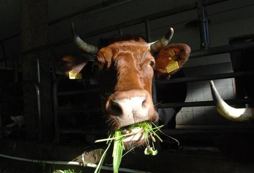 مبيت وإفطار Hinterkellaubauer