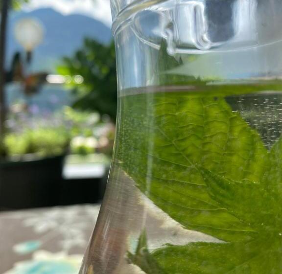 ホテル Garni Pinzgau, Bernd Hüttl