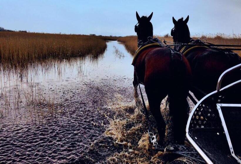 Отель Nationalpark