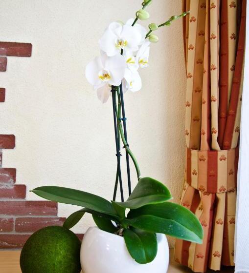 The Hotel   Himmlisch Wohlfühlen