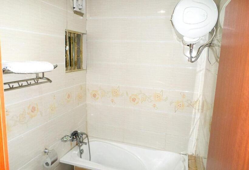 B S Hive Hotel & Suites