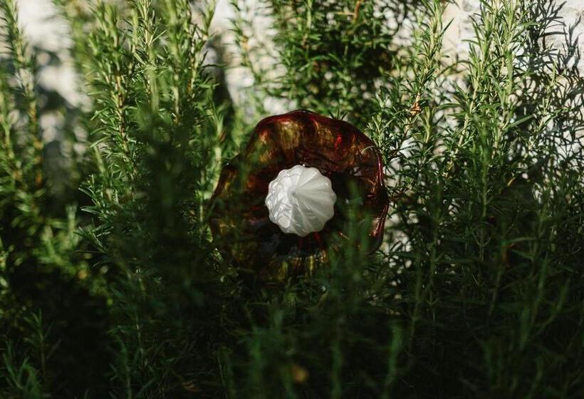 B&b L Echappée Belle Welness Spa Et Table D Hôtes