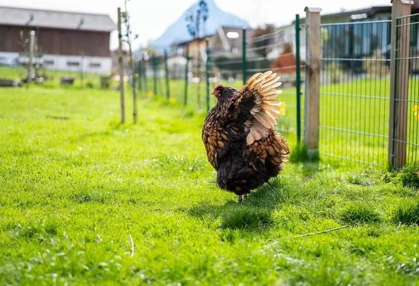 Daskaiser   Dein Gartenhotel In Tirol