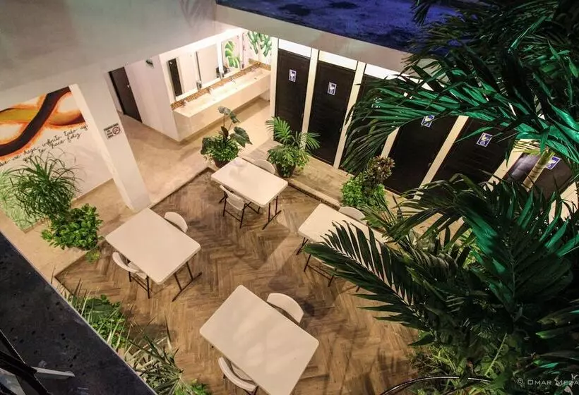 Hostal Gayser   Hostel