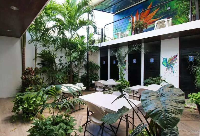 Hostal Gayser   Hostel