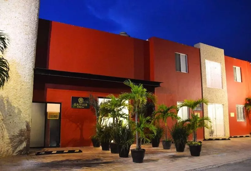 Hostal Gayser   Hostel